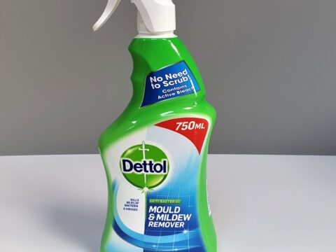 MOULD & MILDEW REMOVER (DETTOL)